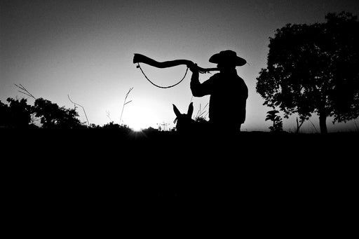 Comitivas #8 - Altitude Galeria