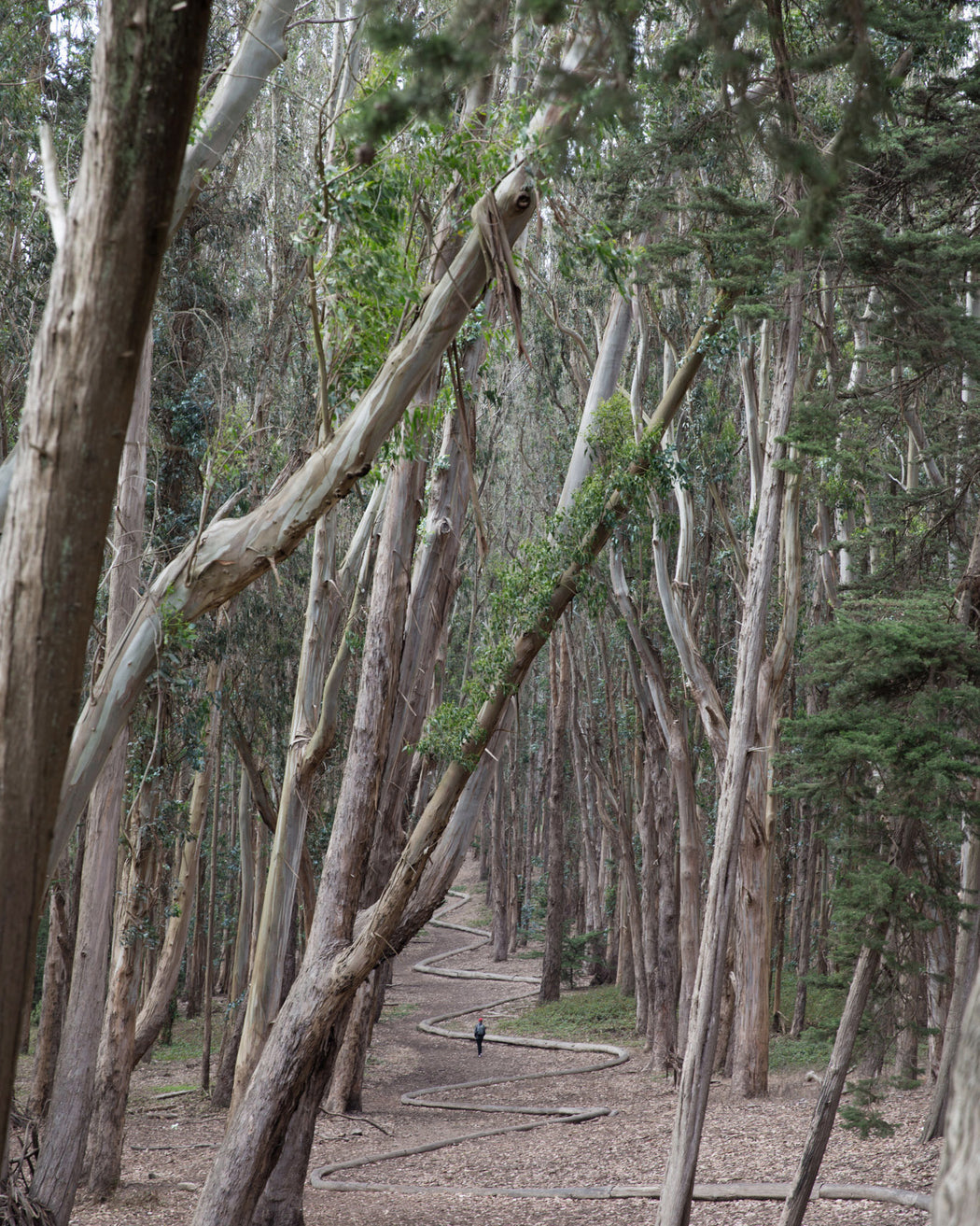 Presidio Park - Altitude Galeria