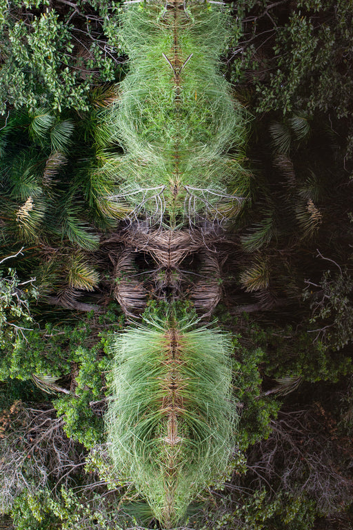 Seres da Natureza 02 - Altitude Galeria