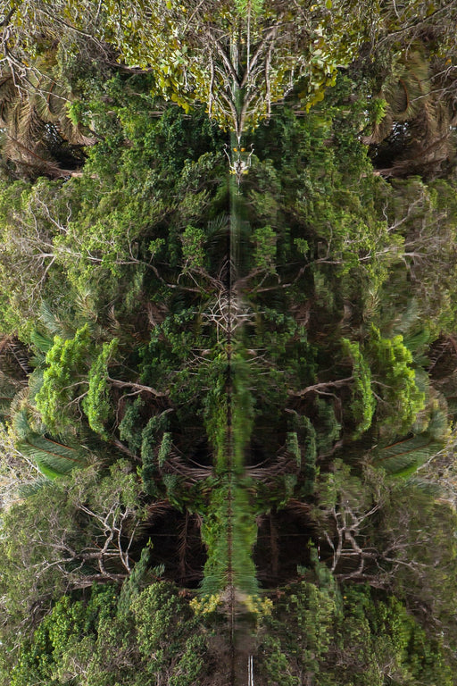 Seres da Natureza 03 - Altitude Galeria