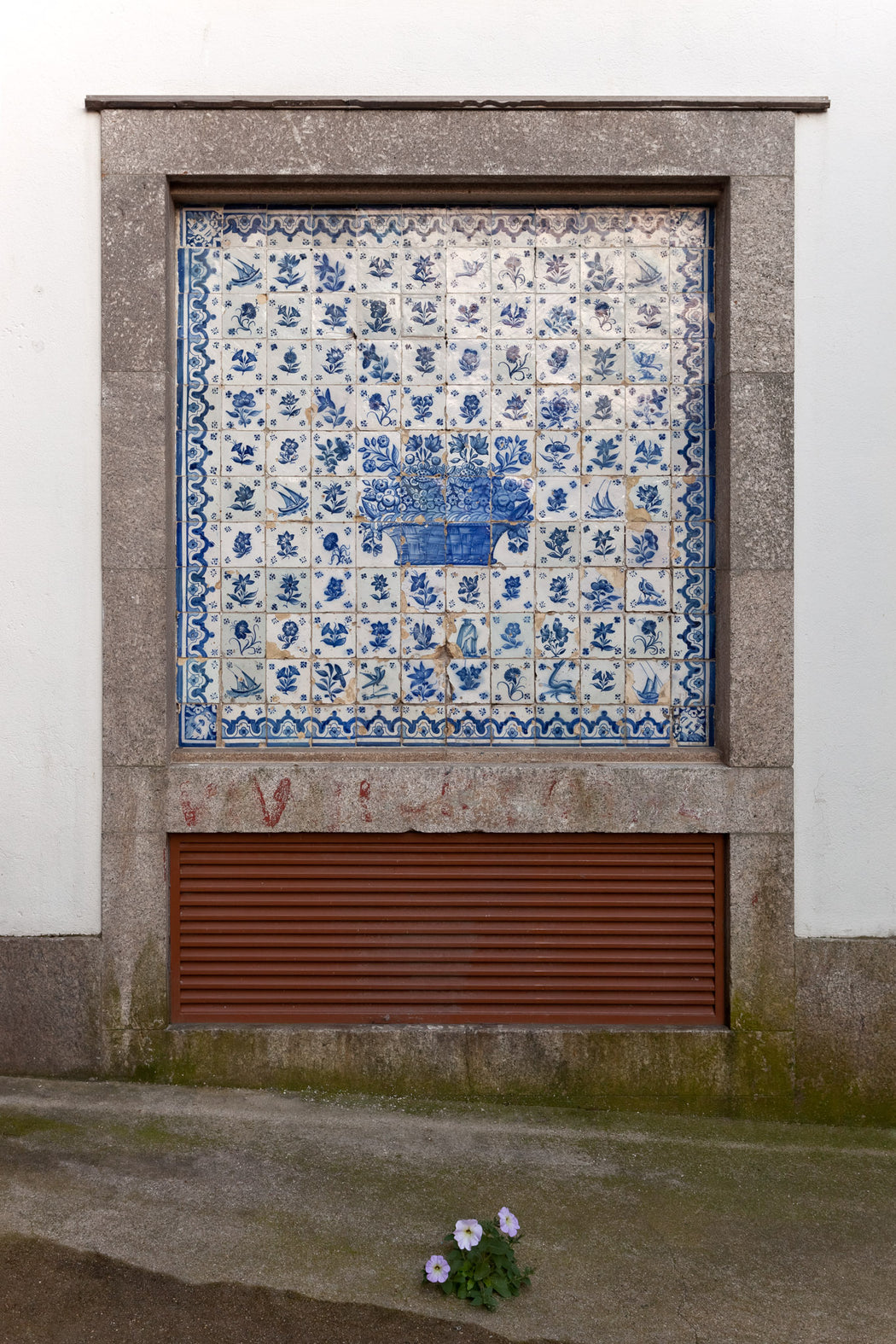 Flowers on the Wall - Altitude Galeria